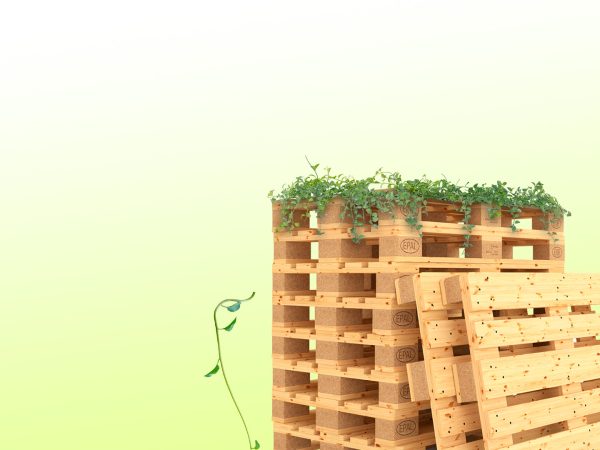 Sustentabilidade e responsabilidade no uso dos Pallets!